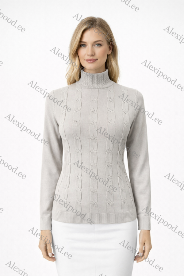 Kõrge kaelusega dzemper