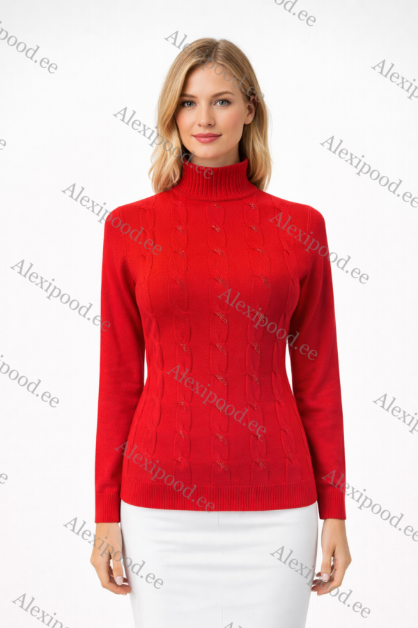 Kõrge kaelusega dzemper