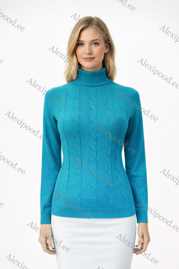 Kõrge kaelusega dzemper