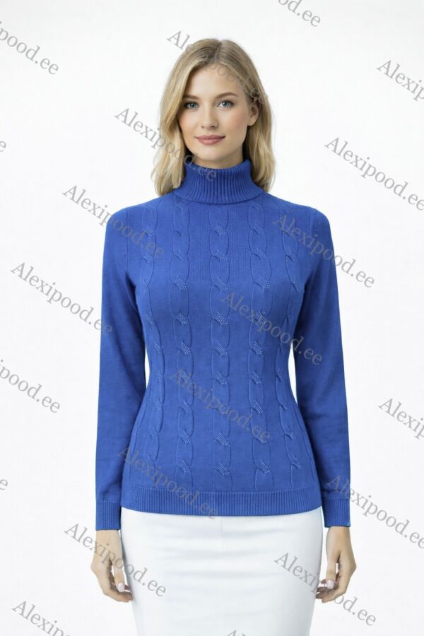 Kõrge kaelusega dzemper