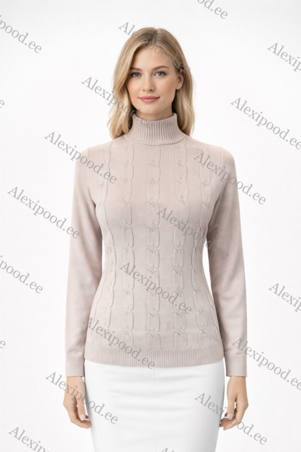 Kõrge kaelusega dzemper