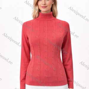 Kõrge kaelusega dzemper