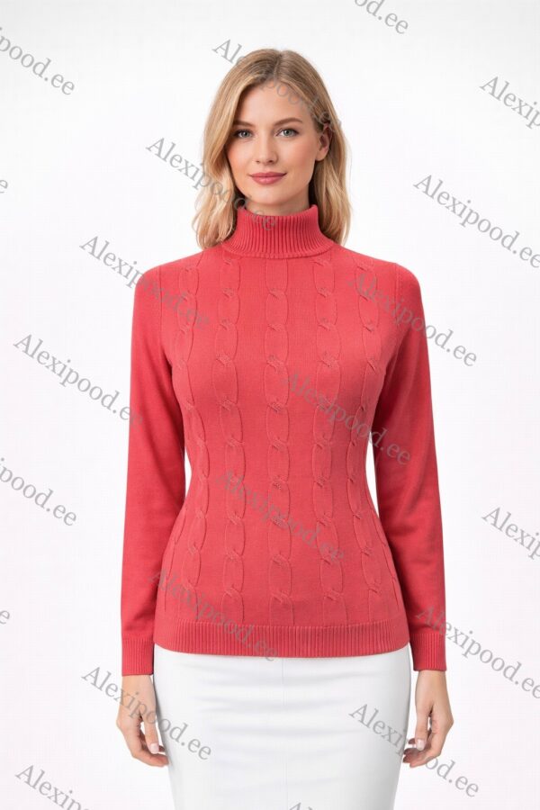 Kõrge kaelusega dzemper