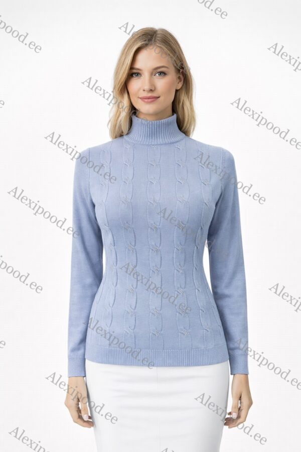 Kõrge kaelusega dzemper