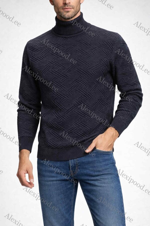 Meeste kõrge kaelusega sviiter