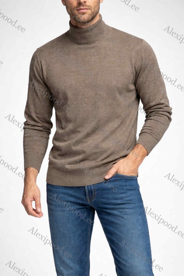 Meeste kõrge kaelusega sviiter