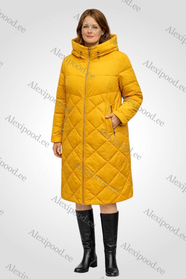 IMG_6813 Naiste talvejope