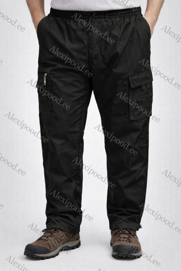 Soojad fliisvoodriga püksid