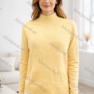 Kõrge kaelusega dzemper