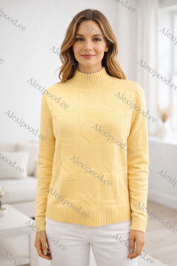 IMG_7731 Kõrge kaelusega dzemper