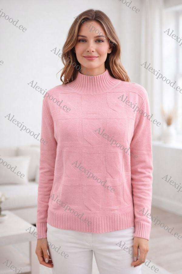 IMG_7732 Kõrge kaelusega dzemper