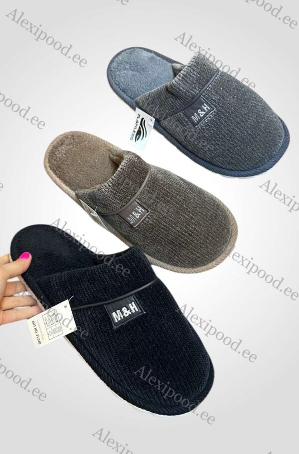 Meeste soojad sussid