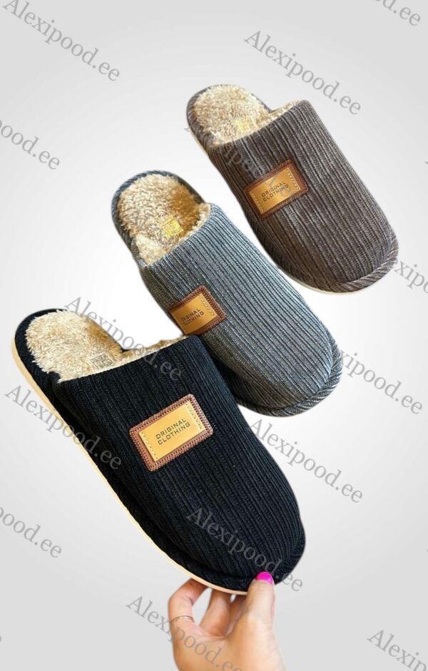 Meeste soojad sussid