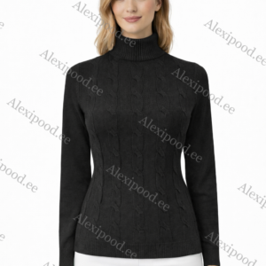 Kõrge kaelusega dzemper