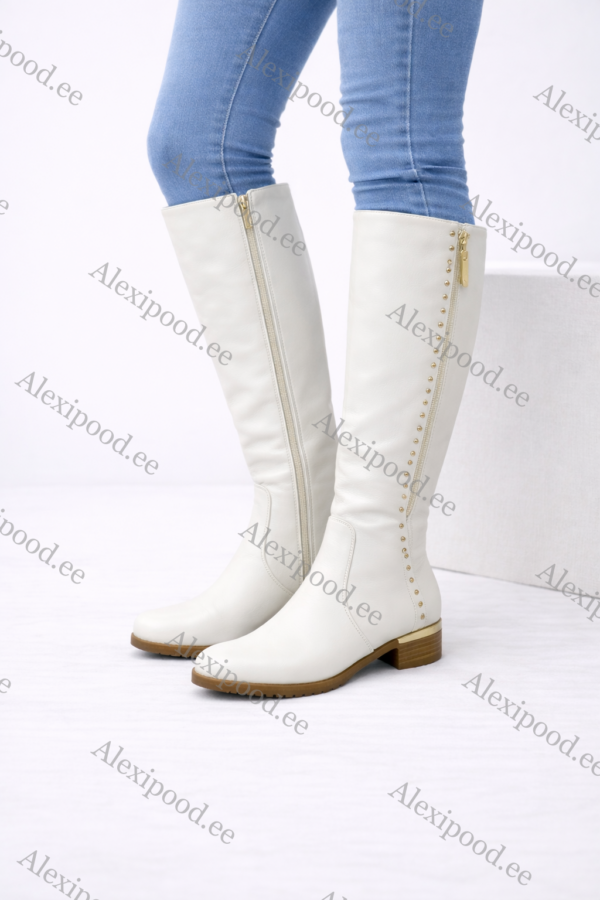 Pika säärega naiste saapad