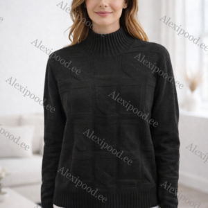 Kõrge kaelusega dzemper