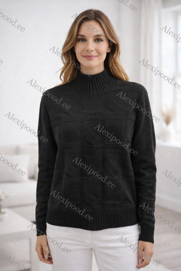 IMG_8644 Kõrge kaelusega dzemper