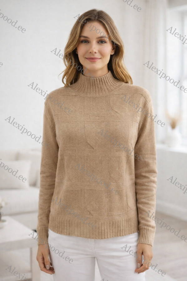 IMG_8677 Kõrge kaelusega dzemper