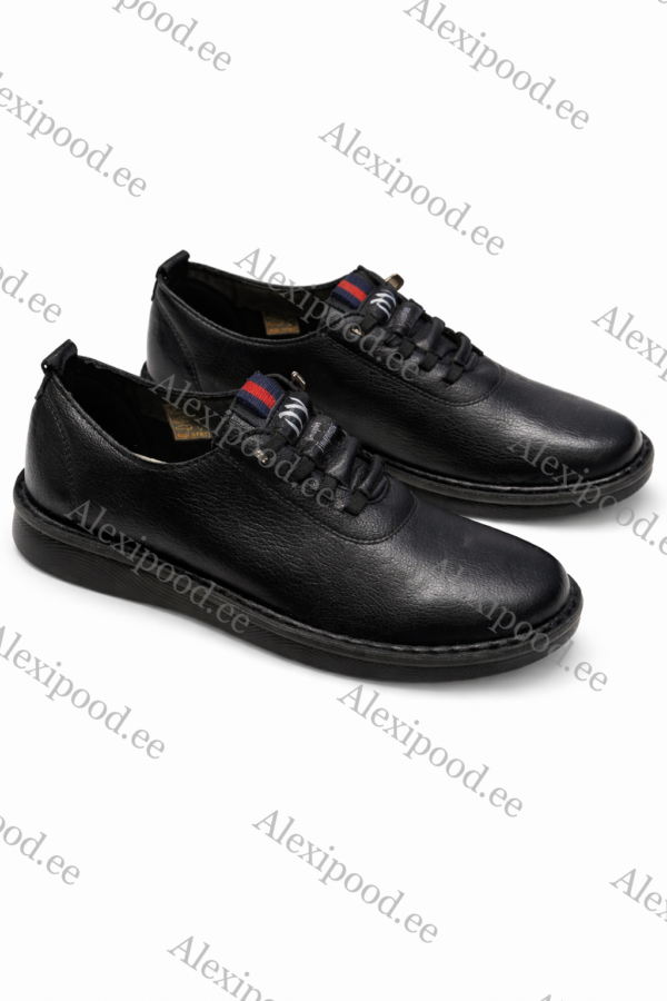 Naiste kingad ( suurused 36-42)