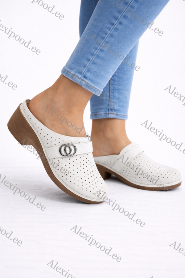 Naiste kingad (suurused 36-41)