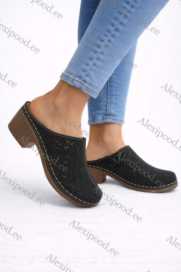 Naiste kingad (suurused 36-41)