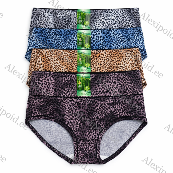 Naiste bambusest aluspüksid  XL-4XL (4 paari)